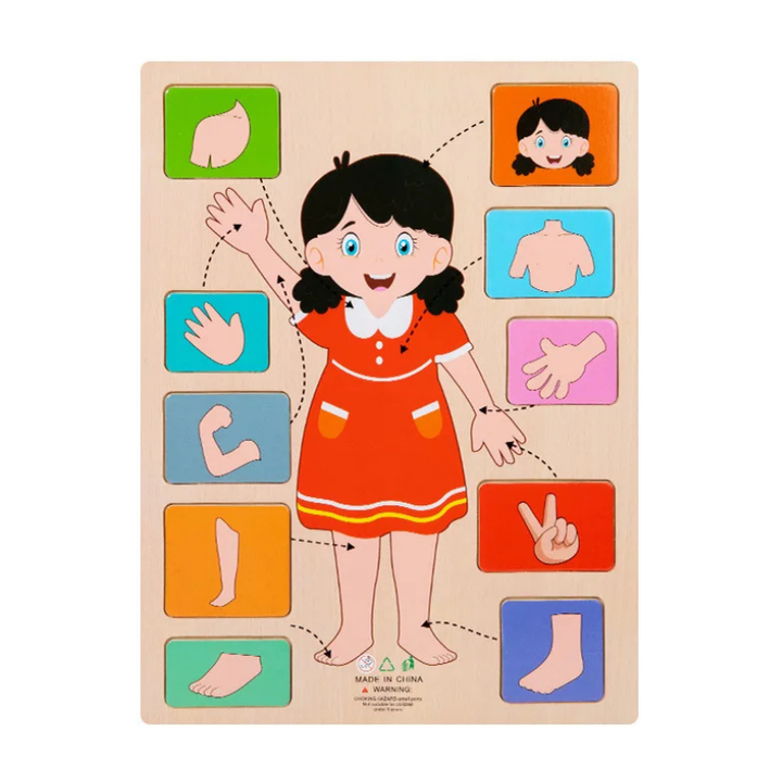 Children's wooden human body puzzle. Educational anatomy learning toy for kids.