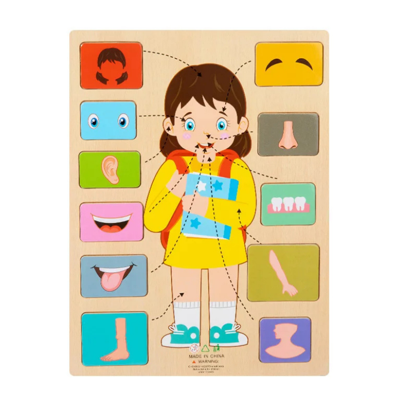 Montessori wooden human body puzzle for kids. Teaches anatomy & science in an engaging way.