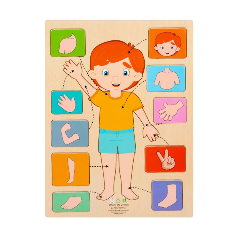Educational wooden human body puzzle, perfect for children learning basic anatomy & organs.