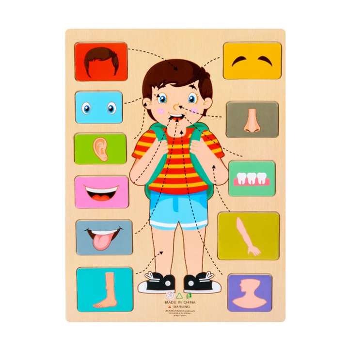 Kids' wooden anatomy puzzle, illustrating human body organs. Montessori educational learning toy.