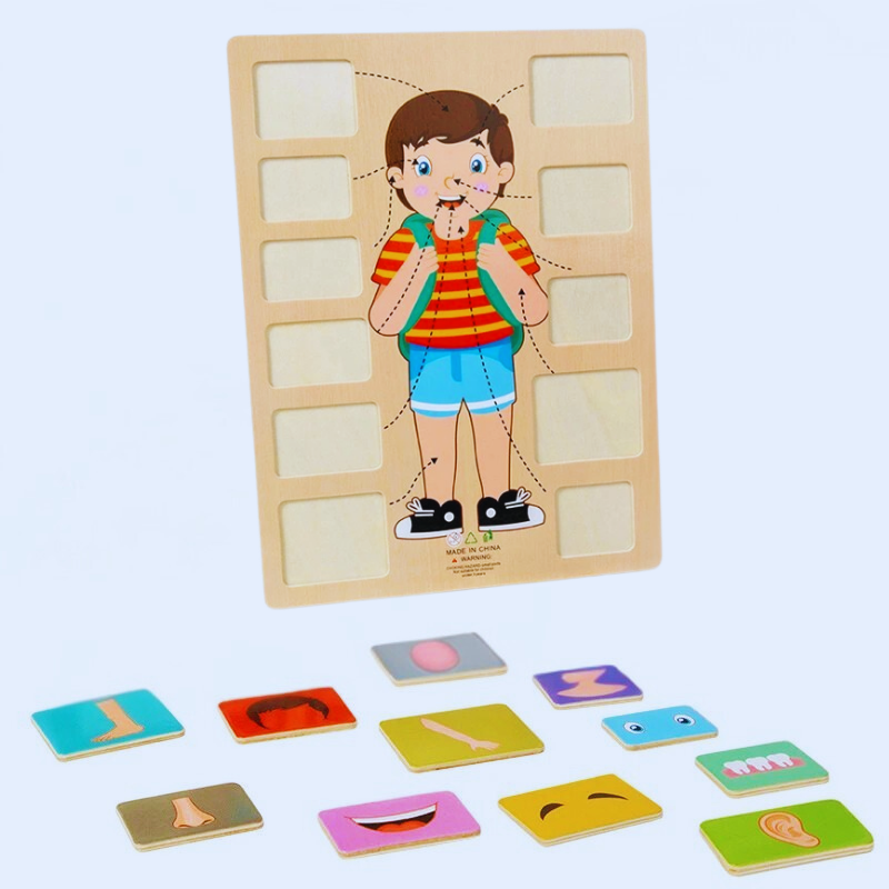 Interactive wooden human body puzzle, engaging kids in science & anatomy education.