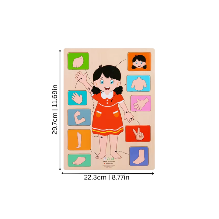 Premium wooden human body educational puzzle. Durable learning toy for children's anatomy studies.
