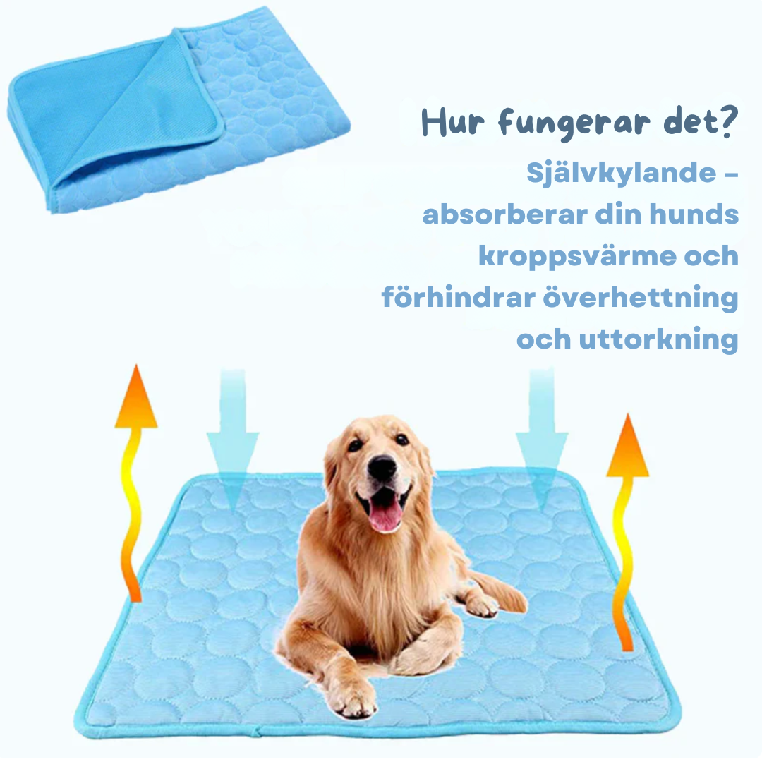 Dog & cat cooling pad provides instant heat relief. A durable, washable pet mat, ideal for summer travel.