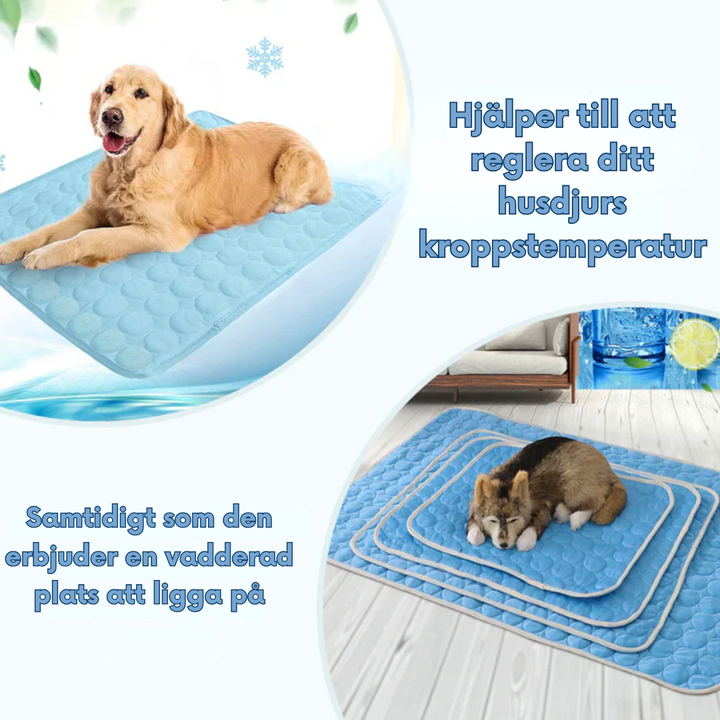 Comfortable cooling mat for dogs & cats. Provides instant heat relief, a washable pet bed for summer.