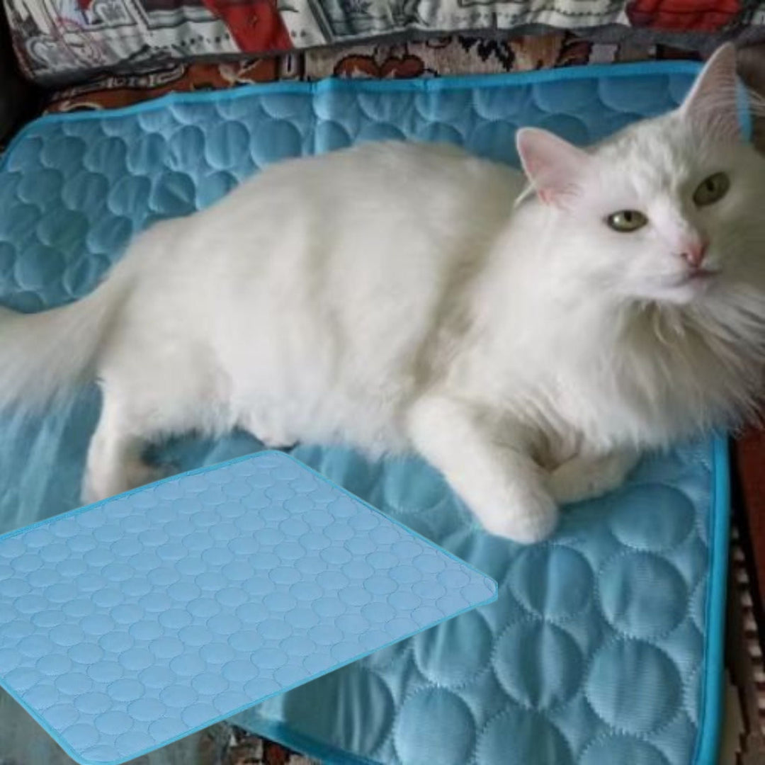 Washable, soft cooling pad for cats. Provides heat relief, perfect pet accessory for summer comfort.