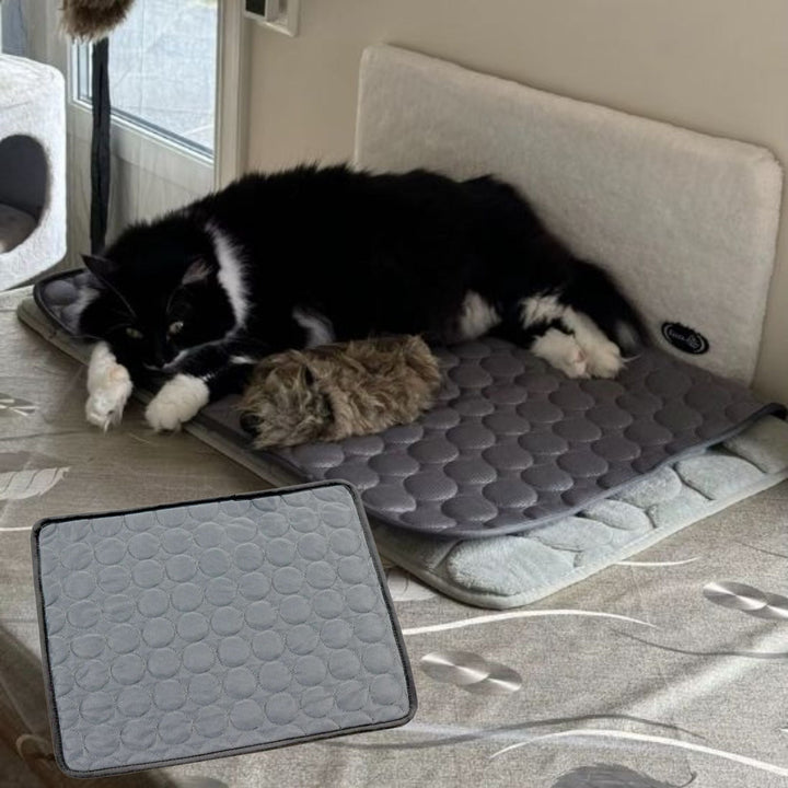 Soft & washable cat cooling mat for heat relief. Essential pet accessory, providing feline comfort in summer.