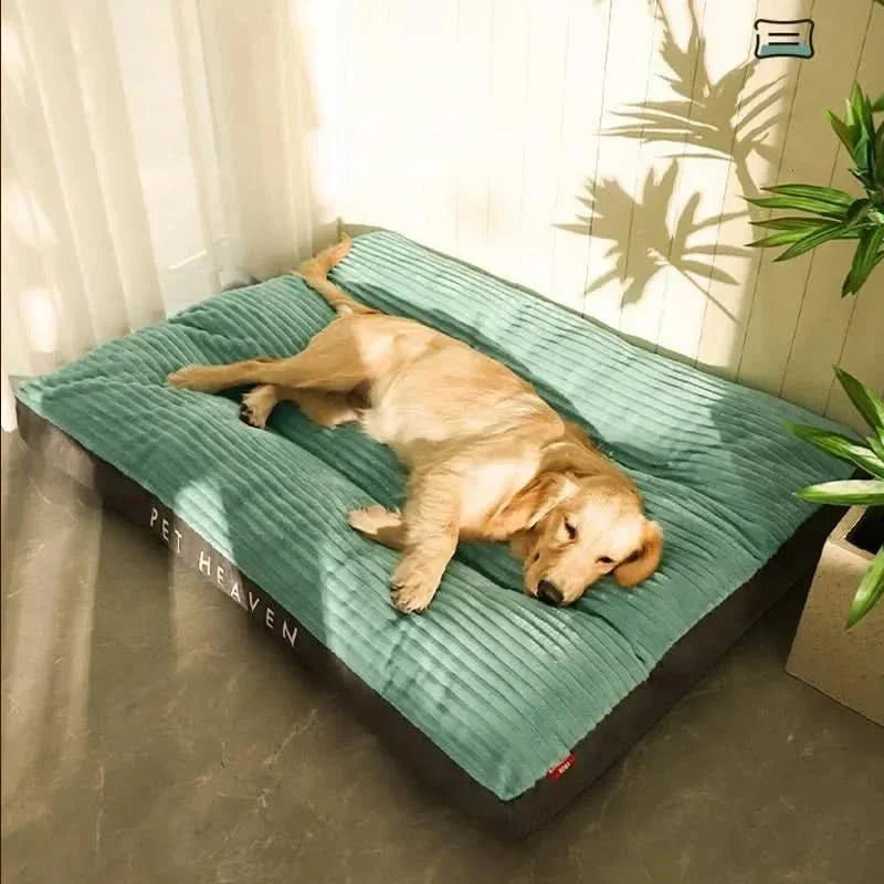 Unisex light green orthopedic dog bed, plush comfort, non-slip base, ideal for senior pet joint support.