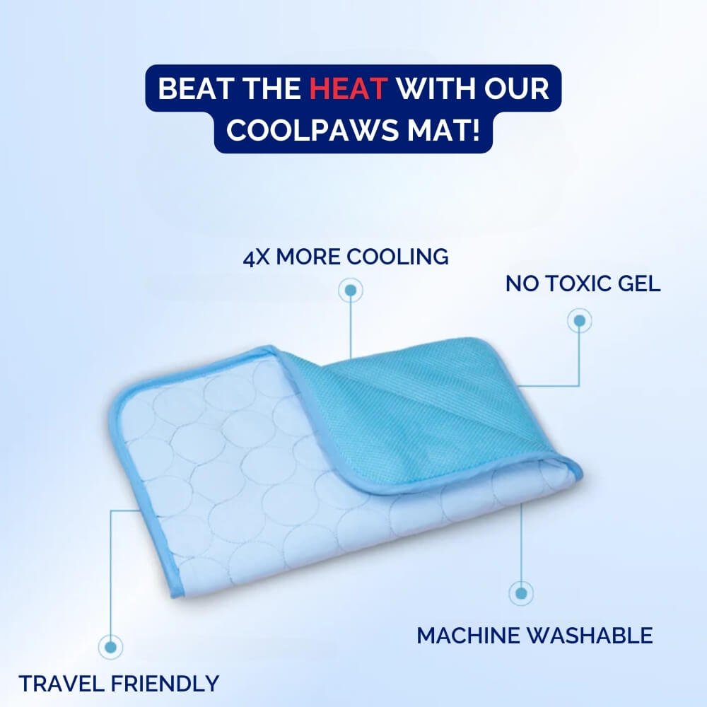 Portable dog cooling mat for summer pet relief. Easy clean, pressure-activated cool pad for beds, crates, or travel.
