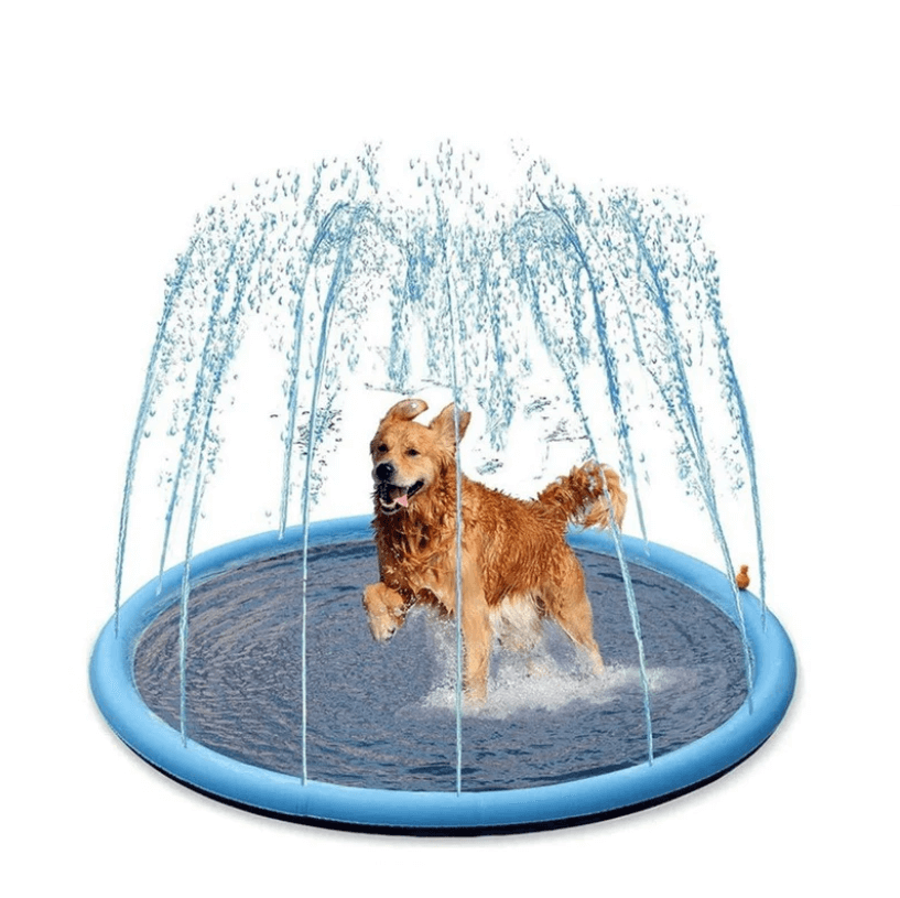 Outdoor dog sprinkler pad for summer water play & pet cooling fun.