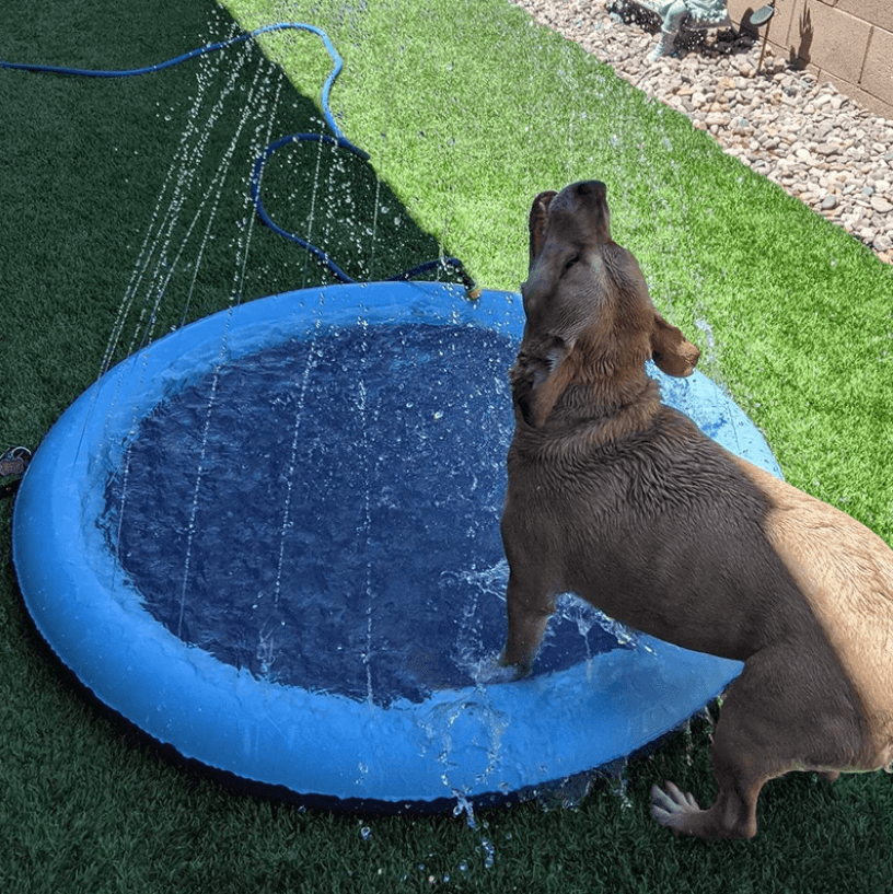 Yellow outdoor dog sprinkler mat for endless summer water fun & pet refreshment.