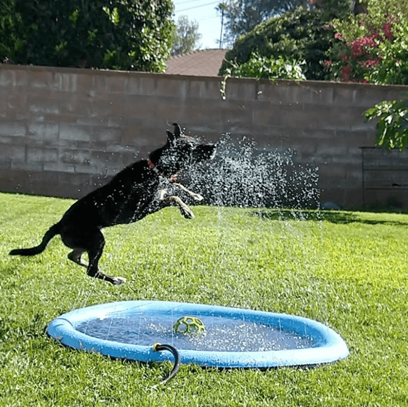Pet cooling sprinkler pad for dogs. Great for outdoor summer fun & splash play.