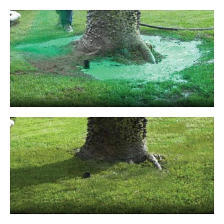 Lush, vibrant green grass grown using Eco-Friendly Lawn Seed Spray, showcasing healthy lawn growth.