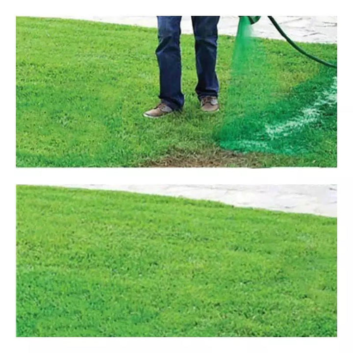 Bare patch transforming into lush, flawless grass with Eco-Friendly Lawn Seed Spray for garden care.