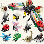 Insects