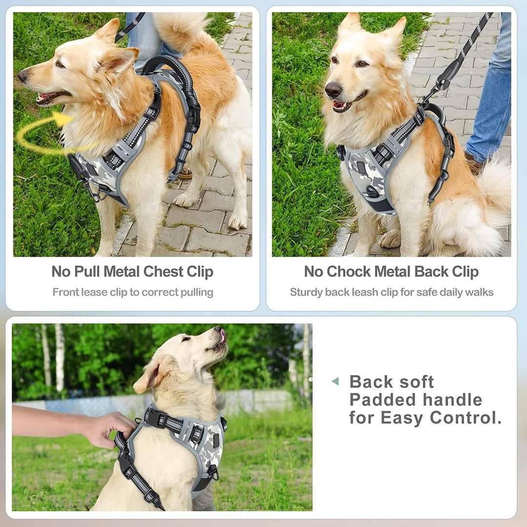 Comfortable reflective dog harness, perfect for daily walks & outdoor adventures.