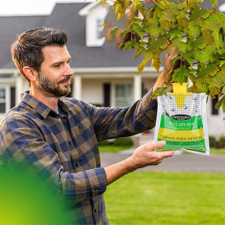 Eco-friendly natural fly control trap for outdoor spaces. Backyard solution for insect problems.