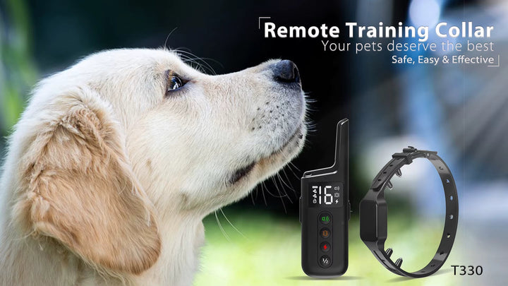 Dog training collar with remote control, waterproof receiver & static/vibration modes.