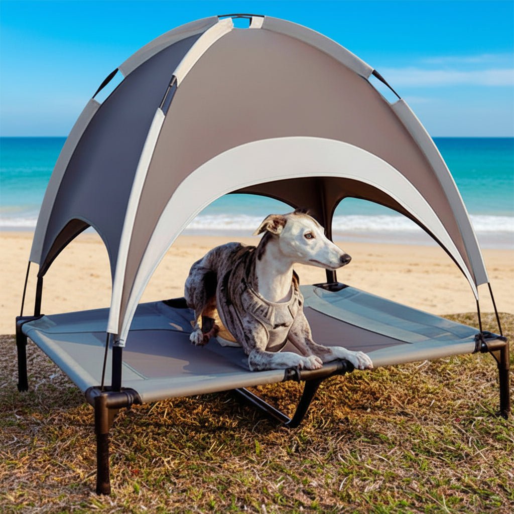 Elevated outdoor dog bed with cooling mat, UV protection, and breathable fabric for ultimate summer pet comfort.