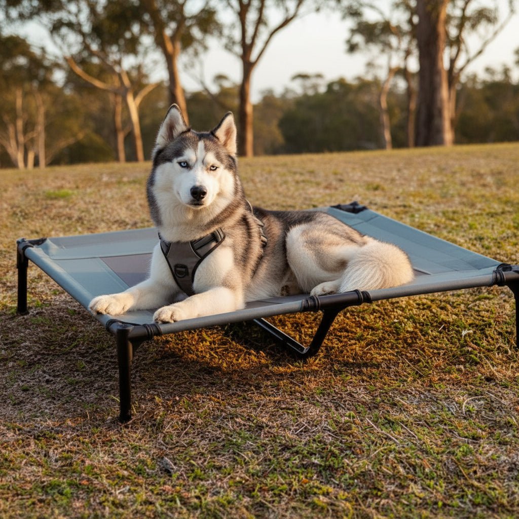 Breathable elevated pet bed with a removable cooling mat, perfect for large or small dogs seeking outdoor comfort & shade.
