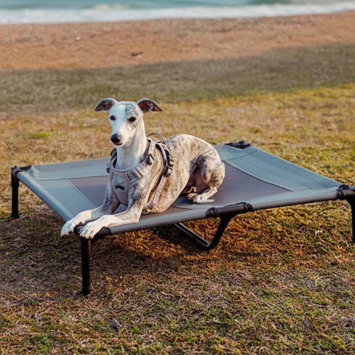 Comfortable elevated dog bed with an integrated cooling mat, providing pets a raised, breathable spot away from hot ground.
