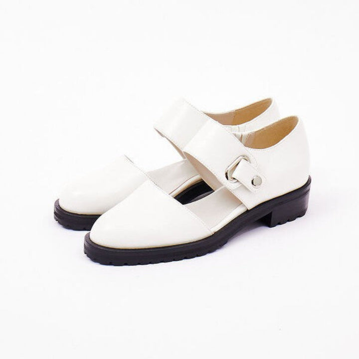 Elegant women's square toe buckle shoes with a comfortable low heel, suitable for spring, summer, and autumn outfits.