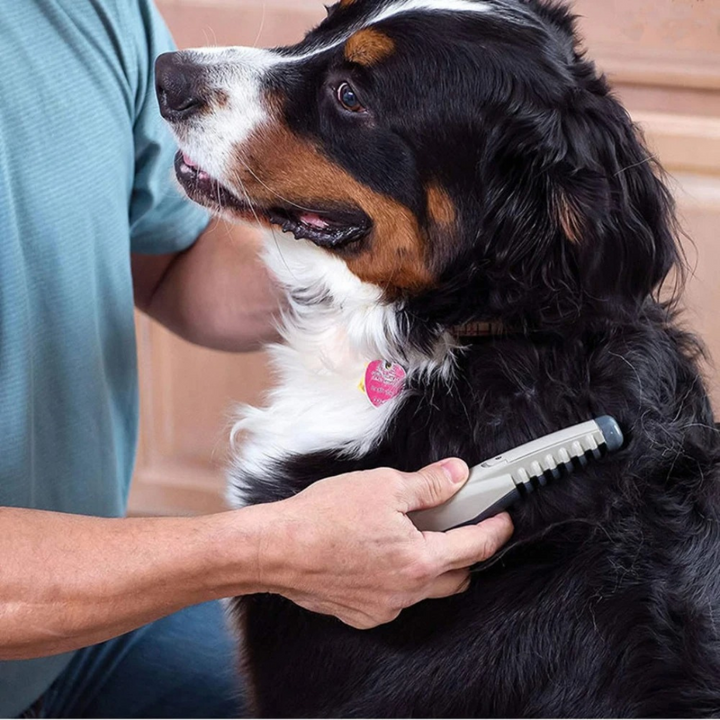 Close-up of Fellona knot-free pet trimmer blade for tangle removal. Painless detangler for dog & cat grooming.