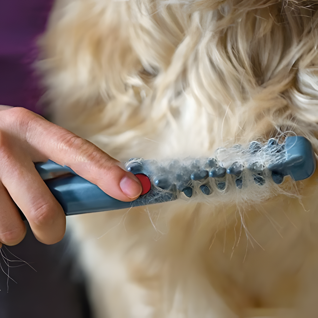 Happy dog enjoys painless grooming with Fellona Pet Trimmer. Ergonomic grooming tool for dogs & cats.