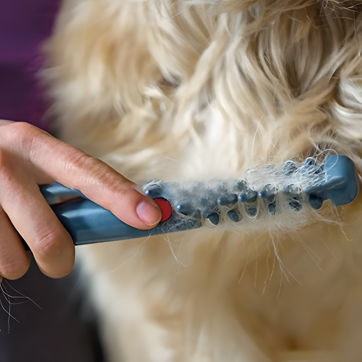 Happy dog enjoys painless grooming with Fellona Pet Trimmer. Ergonomic grooming tool for dogs & cats.