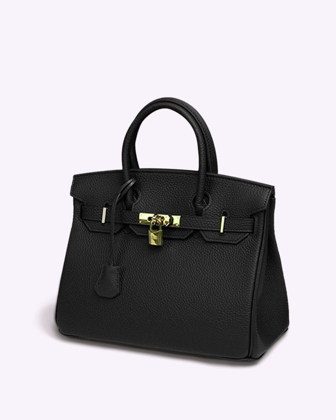Stylish women's fashion tote, elegant design for work, travel & daily use. Features an organizer.