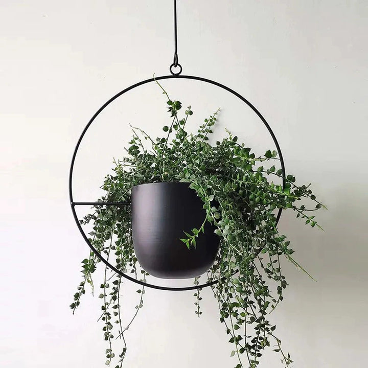 Durable outdoor metal hanging plant pot. Modern garden decor, great for succulents & patio greenery.