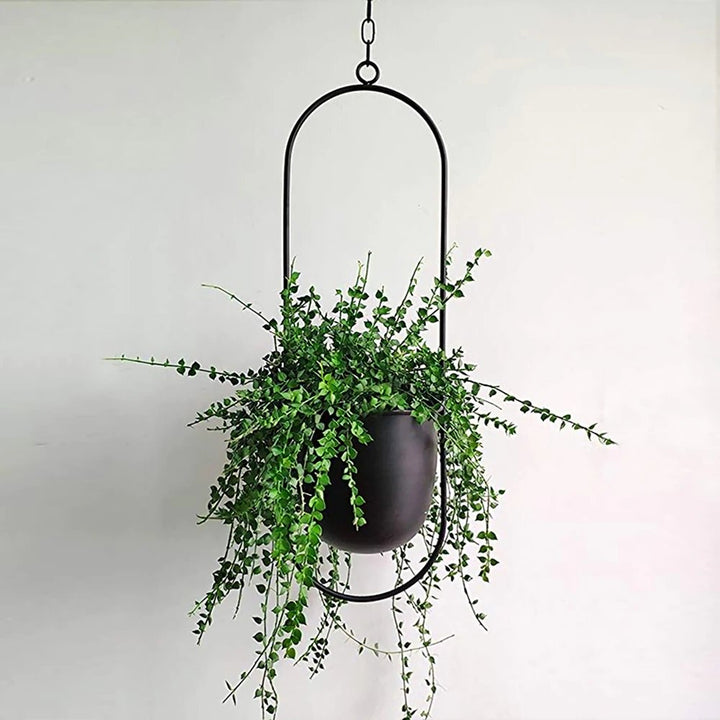 Contemporary metal hanging planter for modern interiors. An elegant plant pot for displaying small plants.