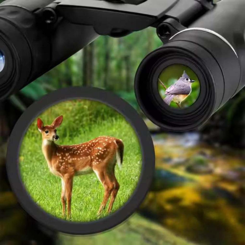 Compact, durable HD binoculars with BAK4 prism for clear, long-range bird watching & hiking.
