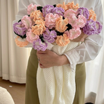 Carnation