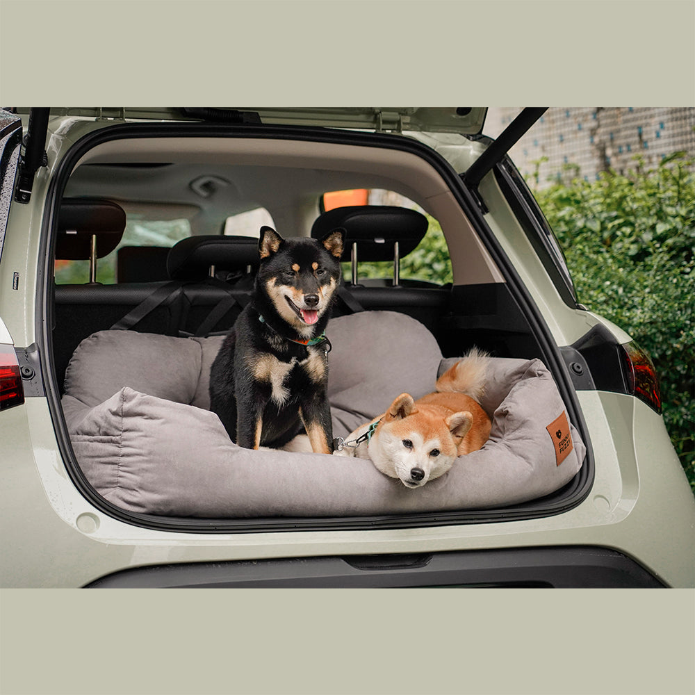 Black dog car seat cover, non-slip, protects car, comfortable for all pets.