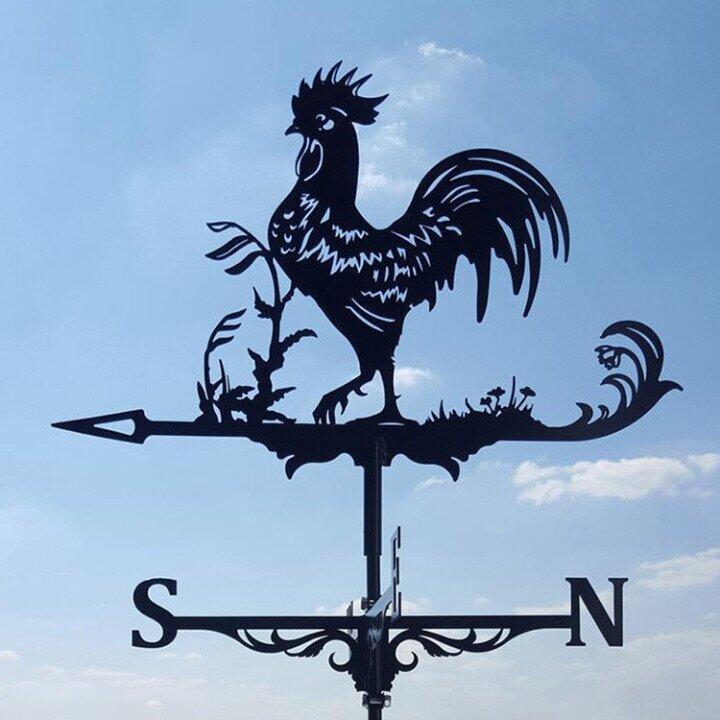 Outdoor metal weather vane with an animal silhouette, perfect garden decor & roof ornament showing wind direction.