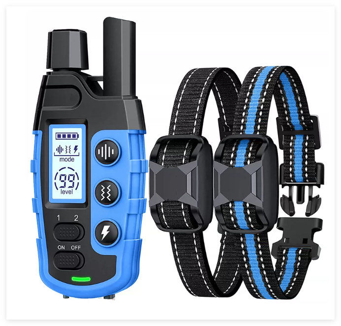 Dog trainer using long-range remote with waterproof training collar for pet obedience and behavior correction.