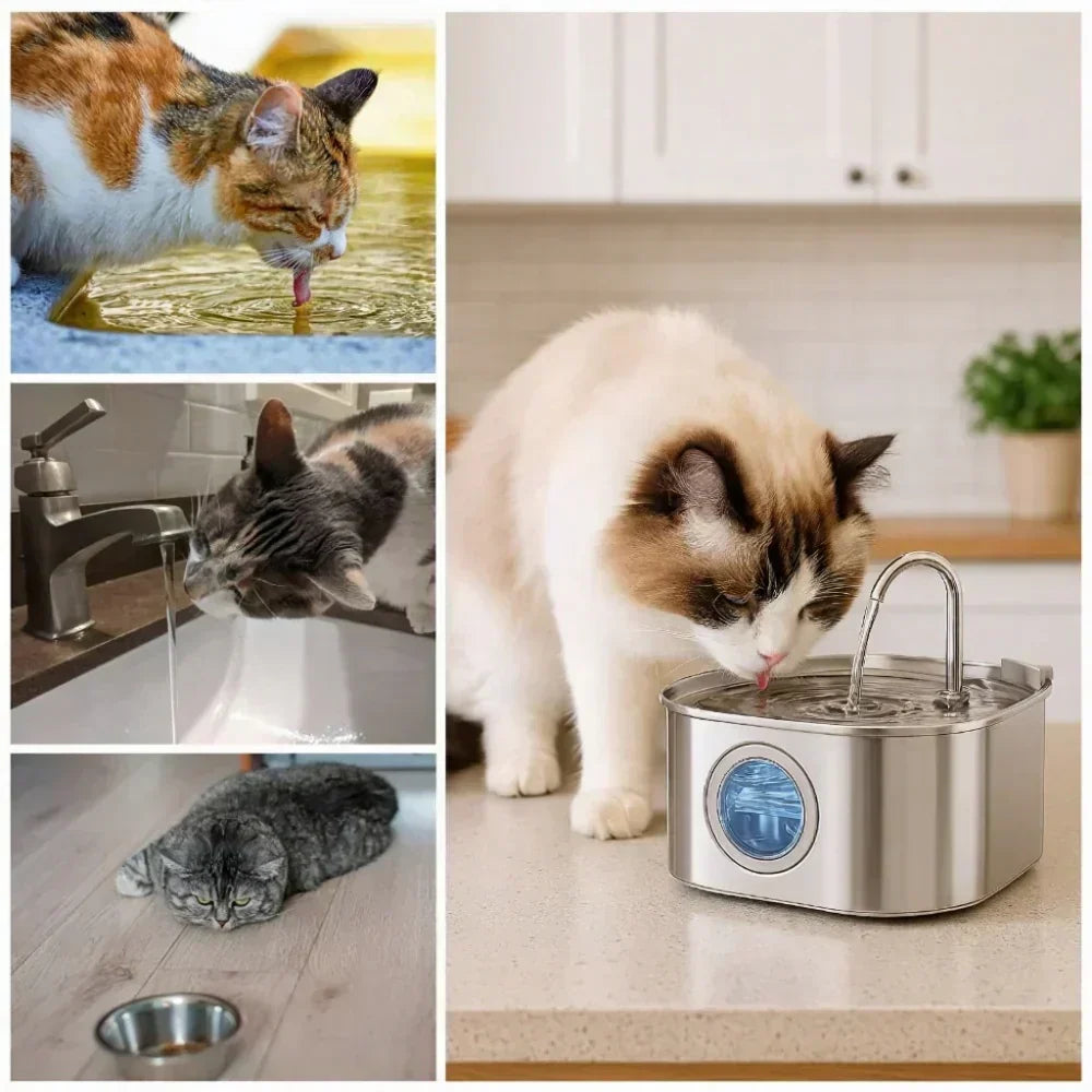 Quiet, automatic pet water fountain with stainless steel filter for enhanced dog & cat hydration.