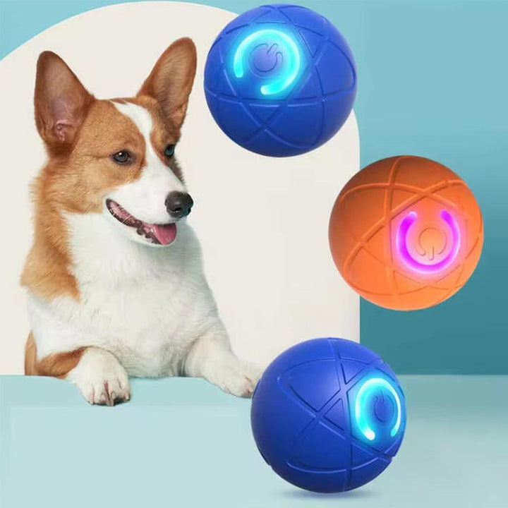 Engaging automatic cat ball for endless play, enrichment & kitten exercise.