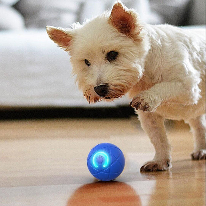 Rechargeable interactive pet ball, automatic toy for dog & cat exercise.