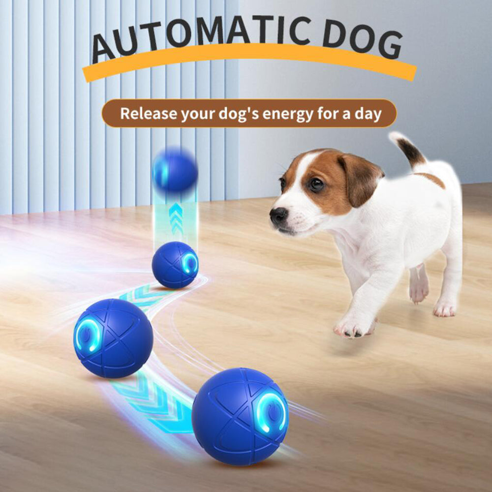Automatic interactive pet ball providing mental stimulation & exercise for dogs & cats.