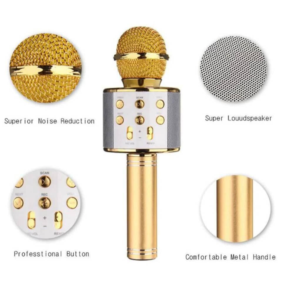 Unisex wireless karaoke mic & speaker for party singing. Bluetooth connectivity, enhanced bass. Portable entertainment.