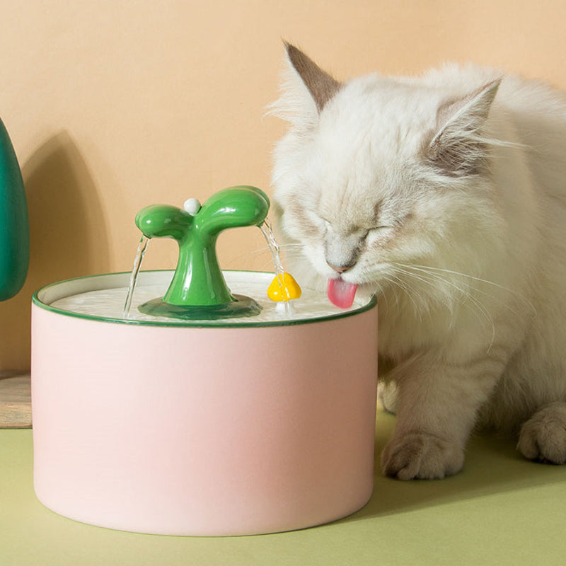 Premium ceramic cat water dispenser, silent and durable, designed for improved pet hydration and health.