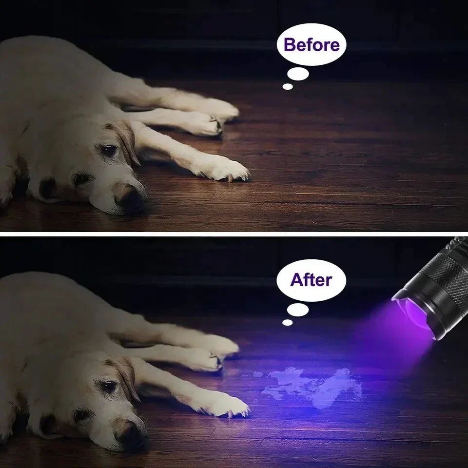 Close-up of LED UV flashlight illuminating a glowing pet urine stain on a dark carpet.