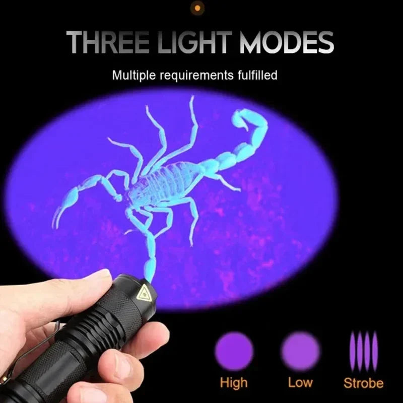 High-performance UV LED flashlight, essential cleaning tool for identifying pet urine & odors.