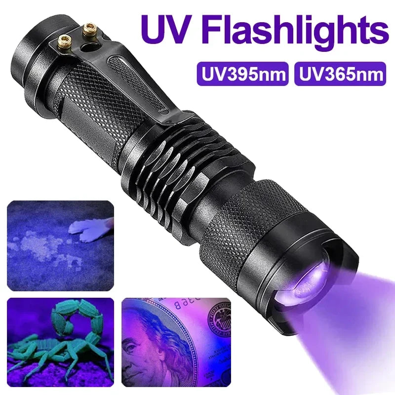 Essential UV detection lamp for maintaining a clean home by revealing hidden pet urine stains.