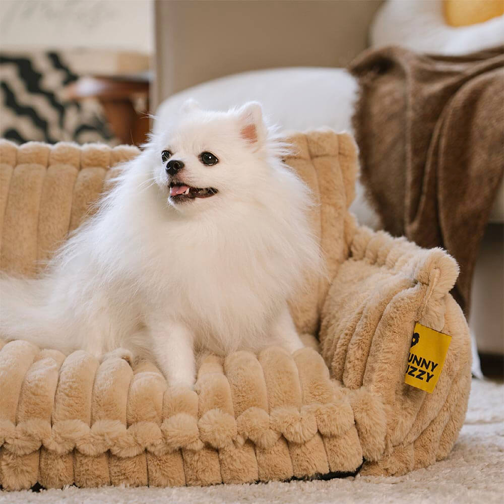 Washable pet bed with orthopedic joint support, a must-have dog supply.