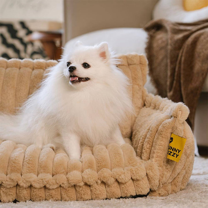 Washable pet bed with orthopedic joint support, a must-have dog supply.