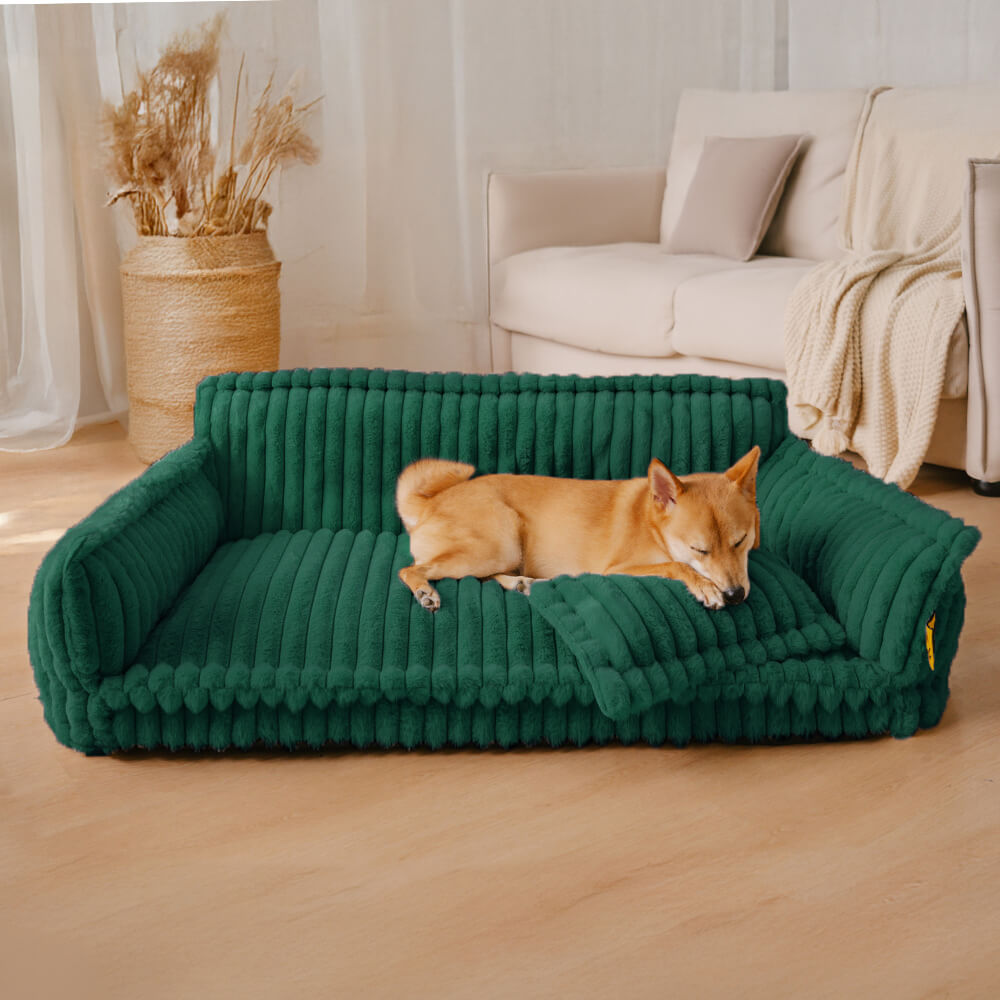 Dog mattress, orthopedic and supportive, with a removable, washable cover.