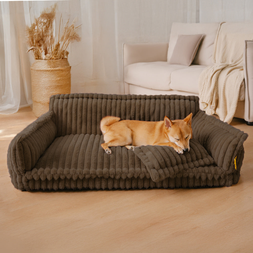 Premium orthopedic dog bed, enhancing pet comfort and joint mobility.