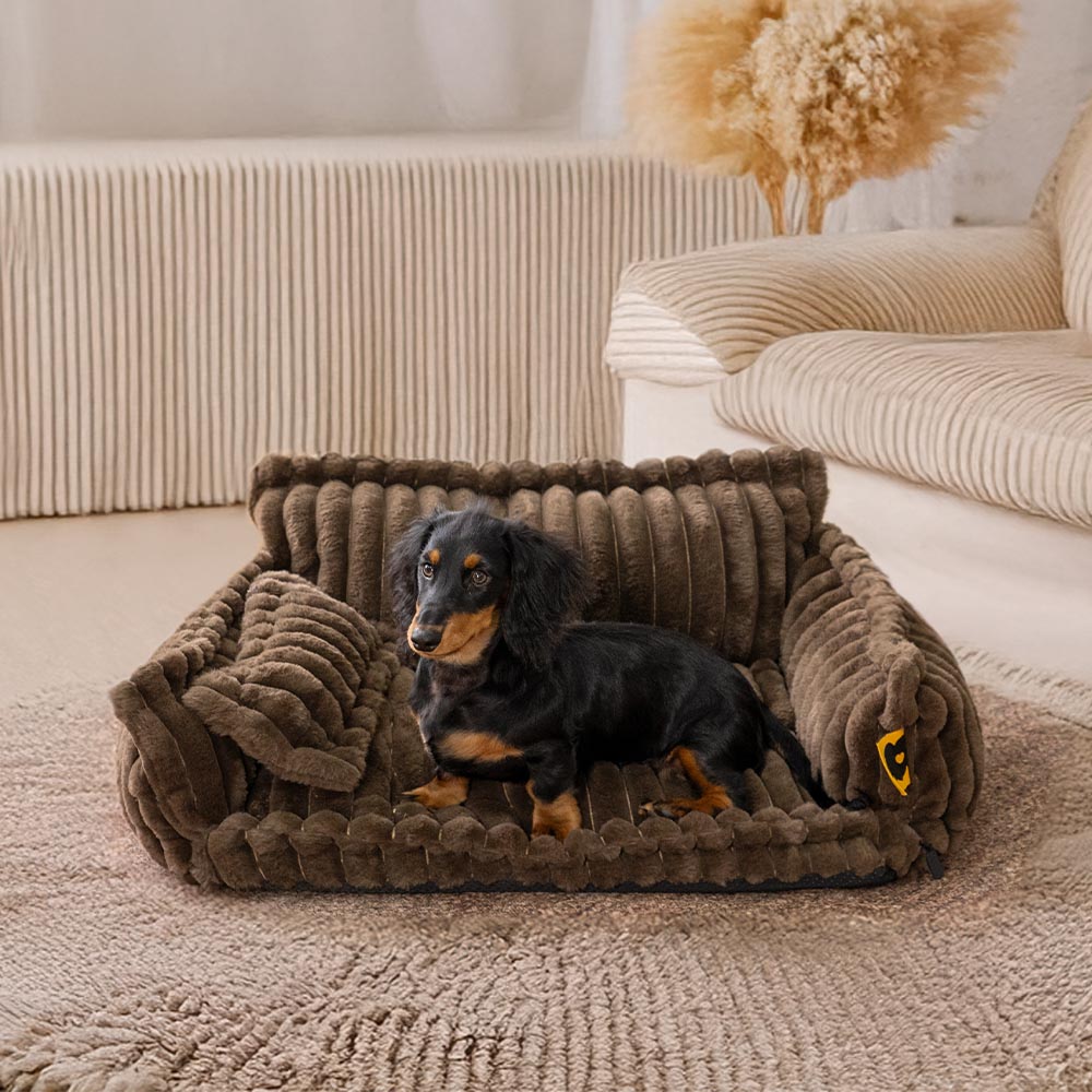 Orthopedic dog bed, a stylish piece of pet furniture for dog comfort.
